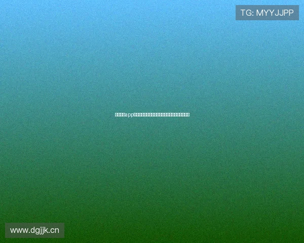 准球体育app打造专业赛事数据分析与实时互动观赛新体验升级